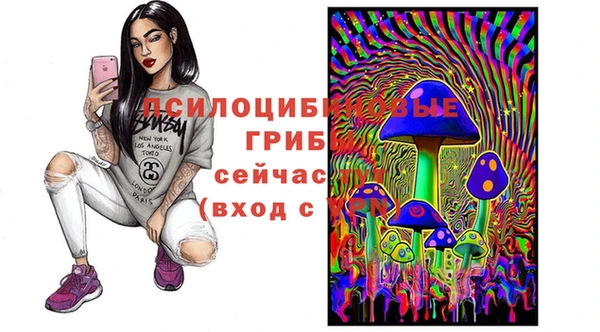 прущая мука Новозыбков