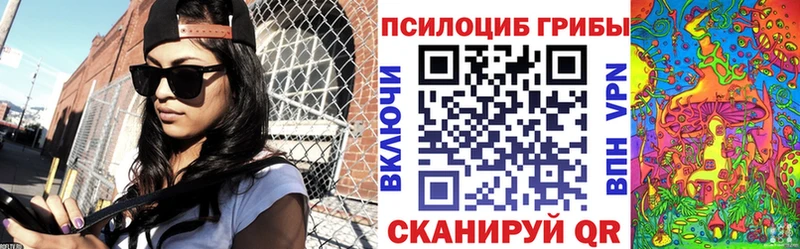 Купить Ахтырский Псилоцибиновые грибы прущие грибы